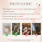 Custom Embroidered Pet Hat Using Pet Photo