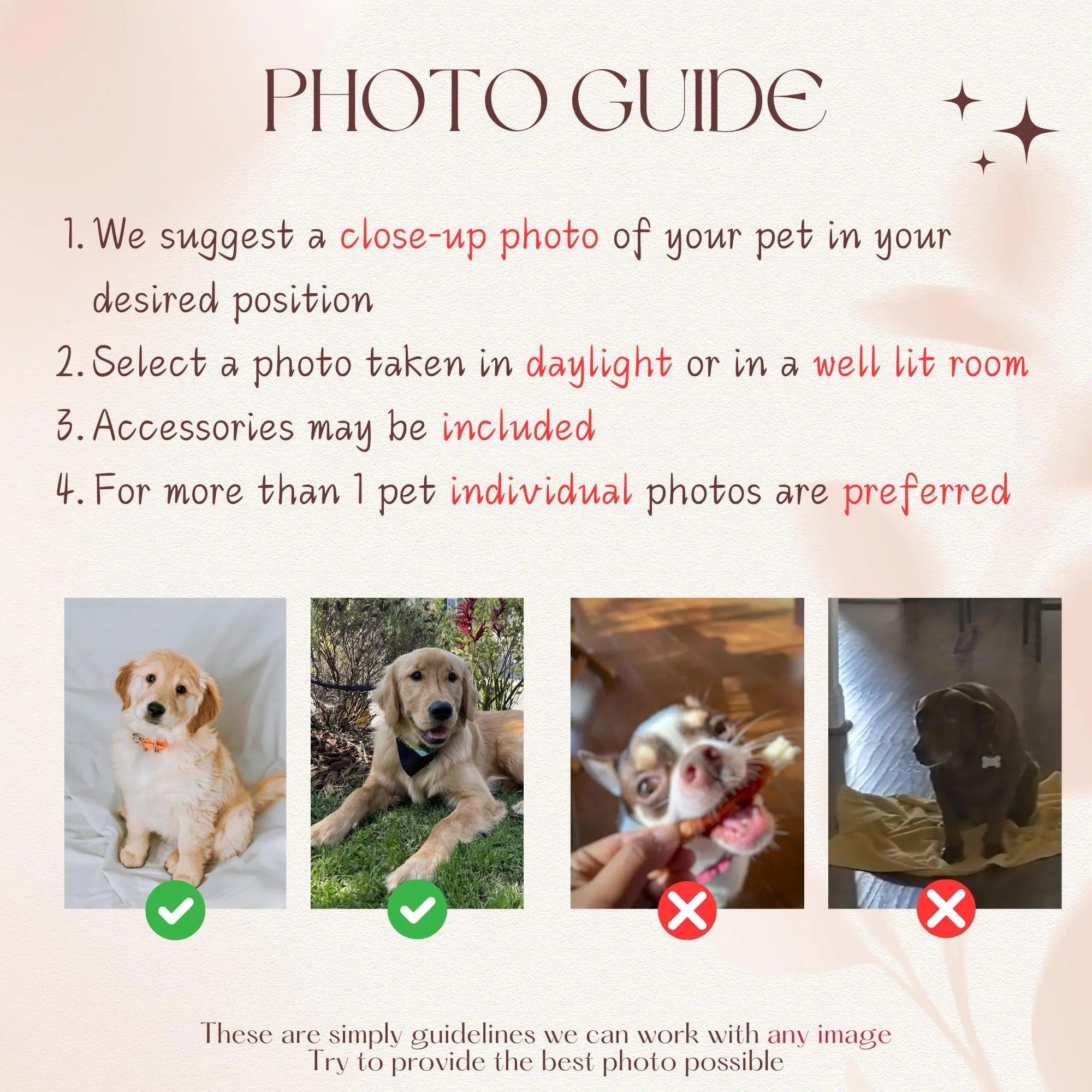 Custom Embroidered Pet Hat Using Pet Photo